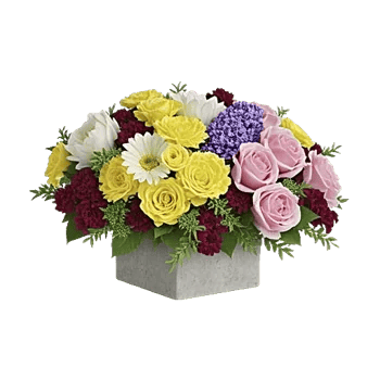 Delicate Petal Cascade