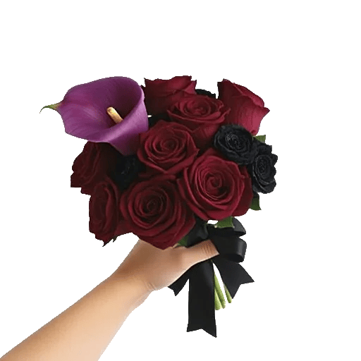 Elegant Calla Lilies