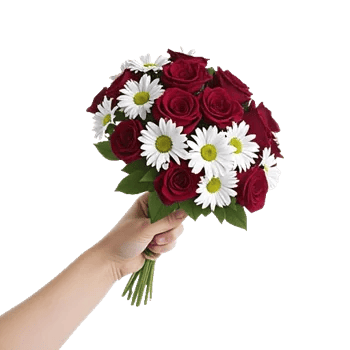 Crimson Rose Elegance