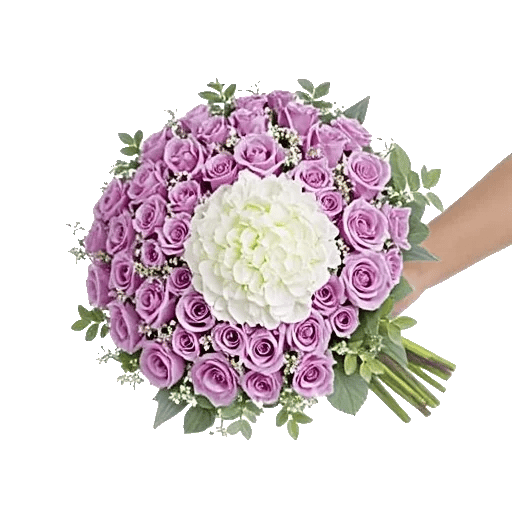 Petal Whisper Symphony