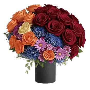 Blushing Rose Symphony