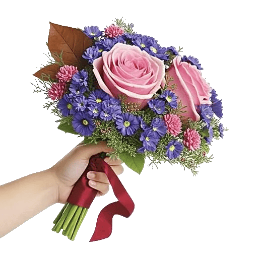 Blushing Rose Symphony