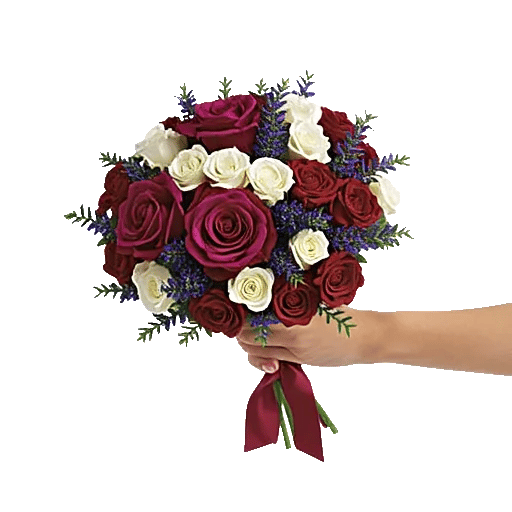 Crimson Rose Elegance