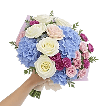 Serene Petal Harmony