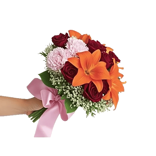 Blushing Rose Symphony