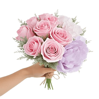 Pastel Pink Roses