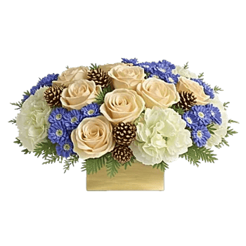 Ivory Blossom Radiance