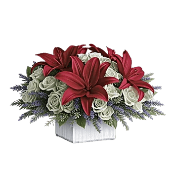 Graceful Lily Display