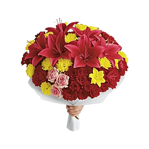 Silken Petal Array