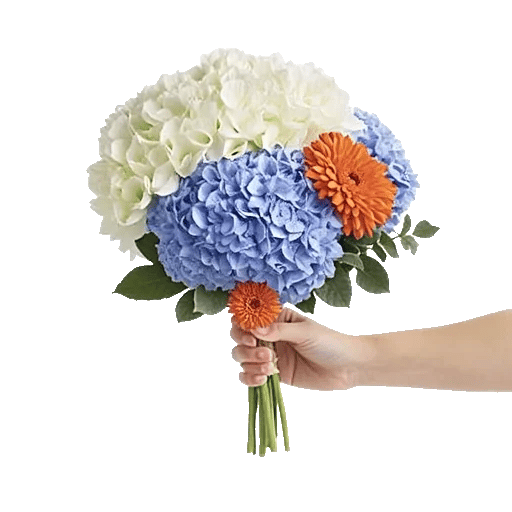 Serene Petal Harmony