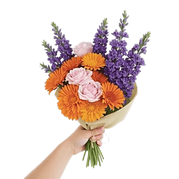 Petal Radiance Bliss