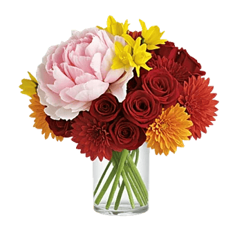 Petal Radiance Bliss