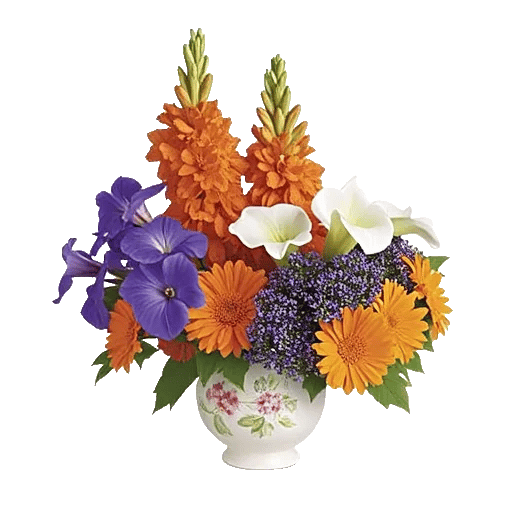 Petal Radiance Bliss