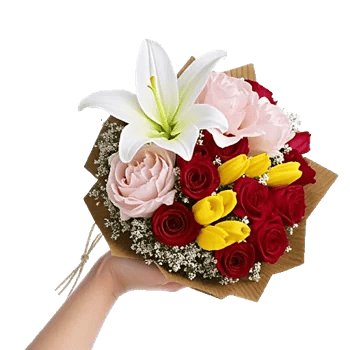 Blossom Harmony Display