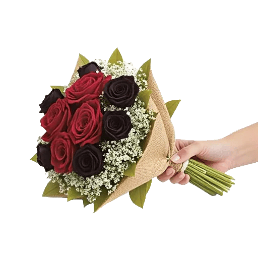 Crimson Rose Elegance