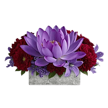 Petal Radiance Bliss