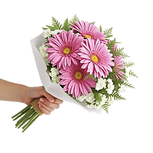 Silken Petal Array