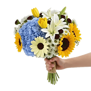 Blossom Harmony Display