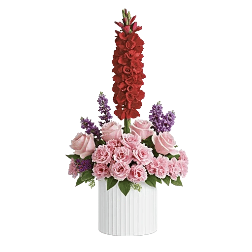 Crimson Lily Glow