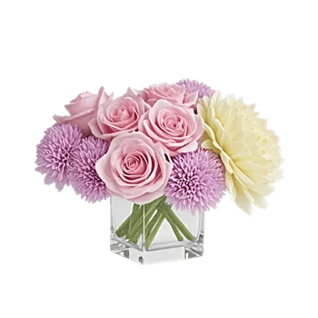 Delicate Petal Cascade