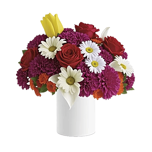 Velvet Tulip Display