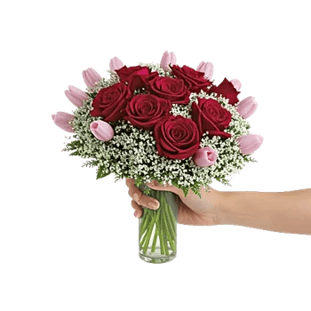 Crimson Rose Elegance