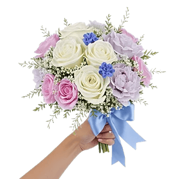 Serene Petal Harmony