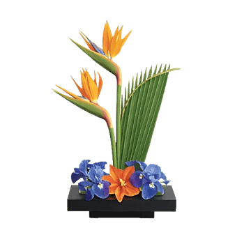 Modern White Orchids