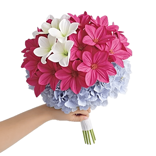 Plum Blossom Radiance