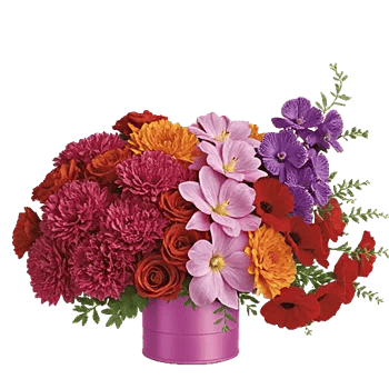 Petal Radiance Bliss