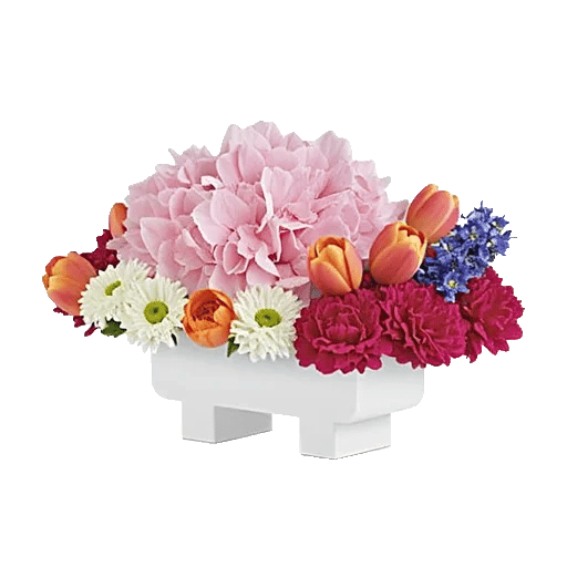 Blossom Petal Serenity