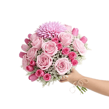 Pastel Pink Roses