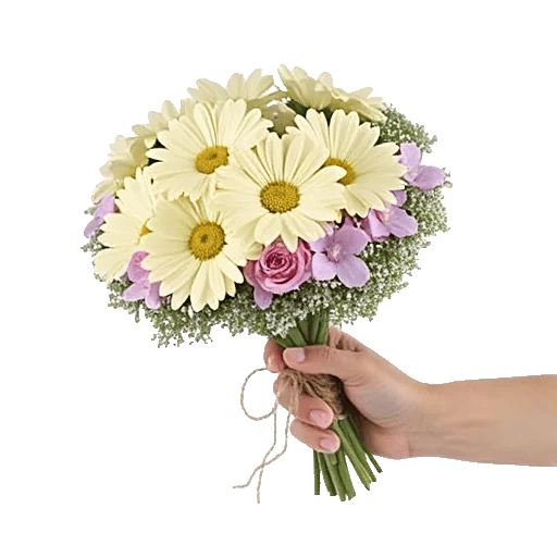 Blossom Petal Serenity