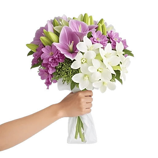 Elegant Calla Lilies