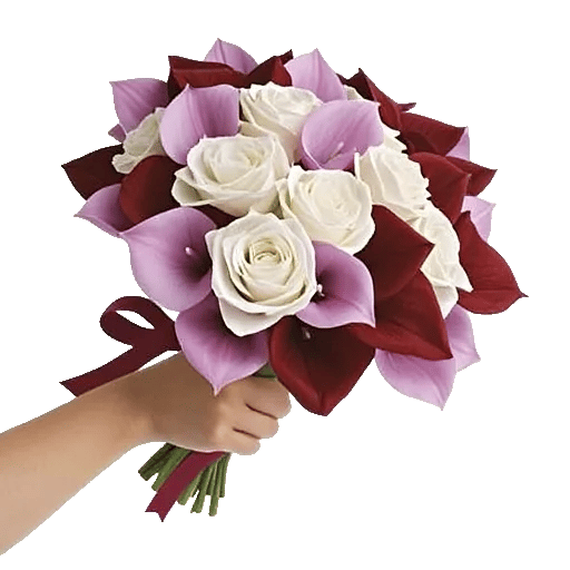 Elegant Calla Lilies