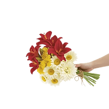 Crimson Blossom Harmony