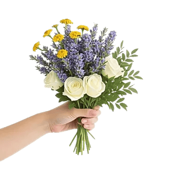 Serene Petal Harmony