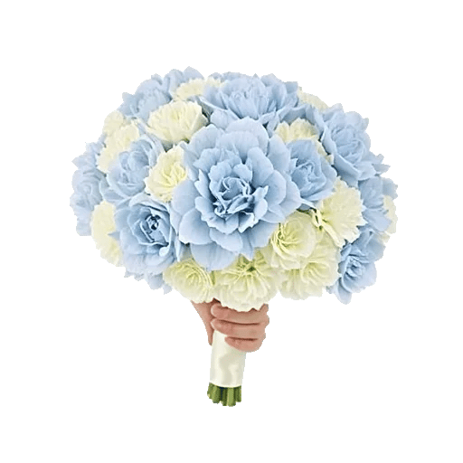 Serene Petal Harmony