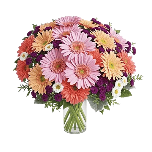 Petal Radiance Bliss
