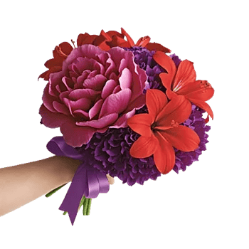 Peony Petal Harmony