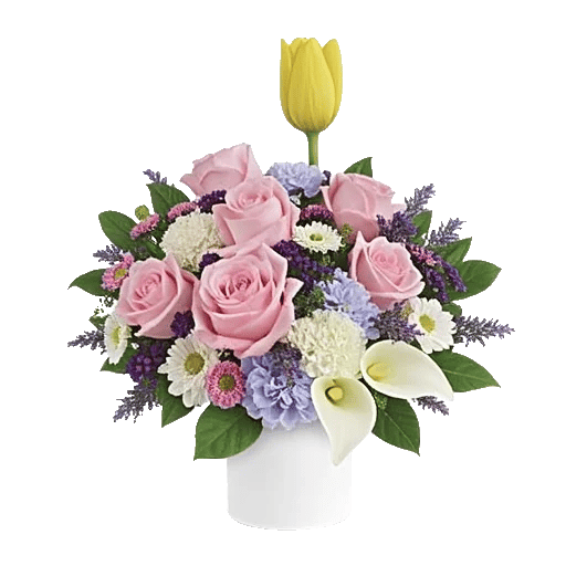 Velvet Tulip Display