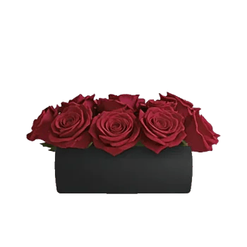 Crimson Rose Elegance