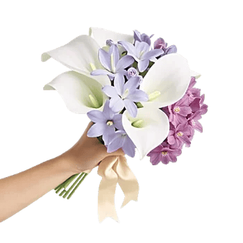 Elegant Calla Lilies