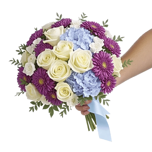 Serene Petal Harmony