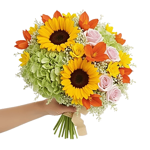 Serene Petal Harmony