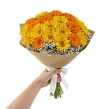 Golden Petal Harmony