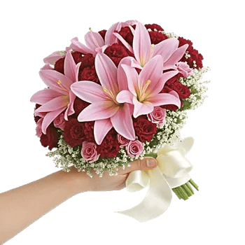 Pastel Pink Roses