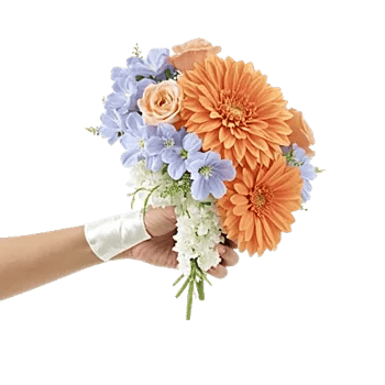 Blushing Rose Symphony