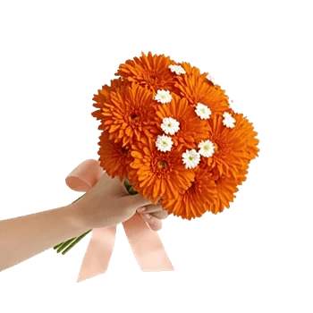 Vibrant Orange Delight
