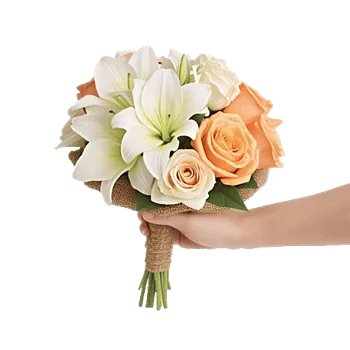 Blossom Harmony Display